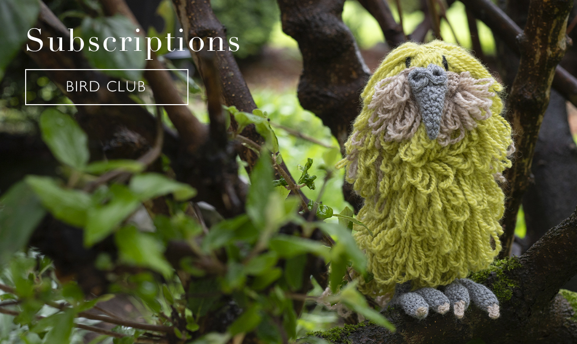 kakapo bird subscribe exclusive toft club crochet pattern